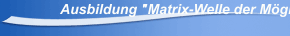 Ausbildung "Matrix-Welle der Möglichkeiten"